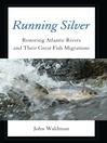 Cover image for Running Silver